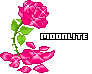 3aae66a1.gif