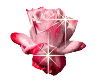 4390n9hyjfcy11.gif