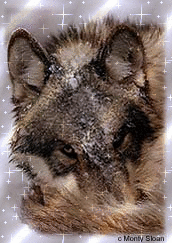 bandit1.gif