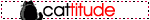 catitudea1.gif