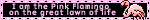 flamingolifea1.gif