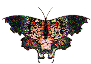 i113767758_2921.gif