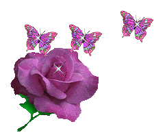 i59432860_31818.gif