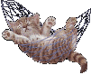 i72846638_48226.gif