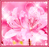 i75847655_62752.gif