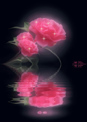 i85683818_42630.gif