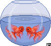 jayne_fish.gif