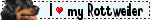 loverottweiler.gif