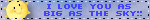 loveyousky.gif