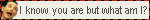 peeweeherman.gif