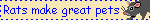 petblink67.gif