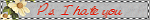 ps.gif