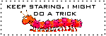 qwhokeepstaring.gif