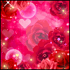 redroses6.gif