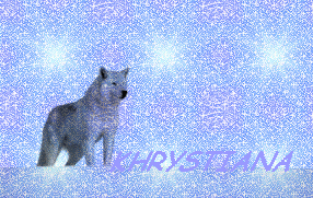 snow_wolf2_22576.gif