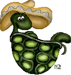 turtle_niza_sombrero.gif