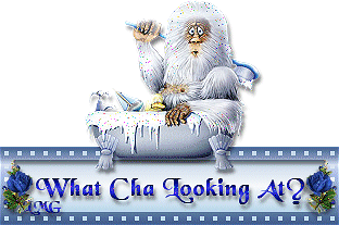 whatchalooking-lmg3.gif